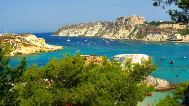  Panorama insular 